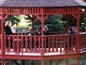 c-03-gazebo-pre.jpg